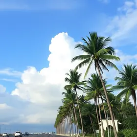 Previsão do tempo em Palmas (TO) hoje: veja como fica o clima nesta terça