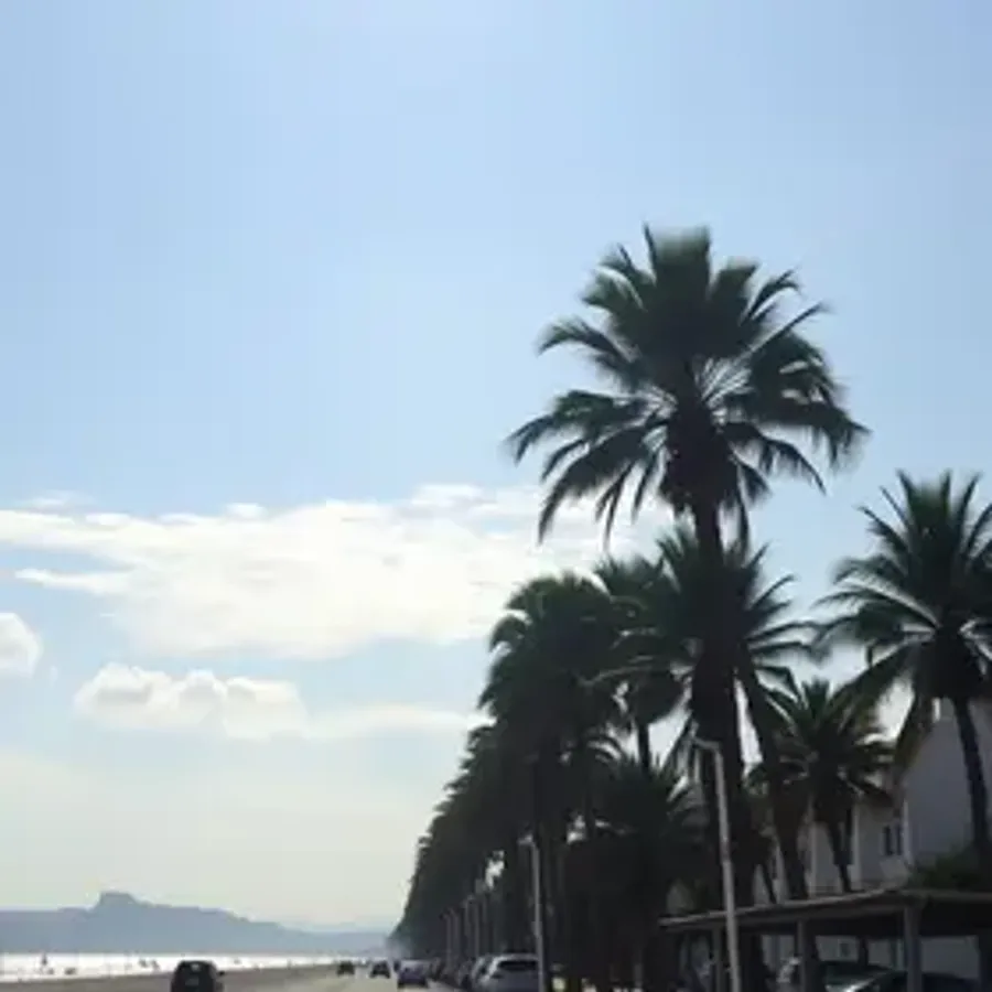 Calor intenso e máximas de 40ºC: veja como será semana em Palmas