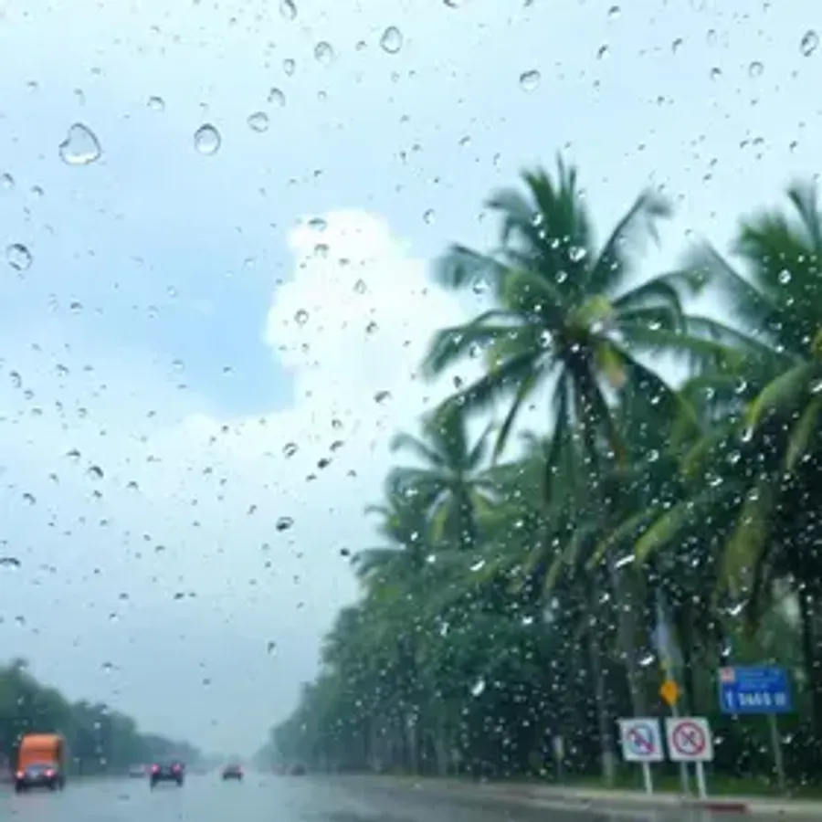 Previsão do tempo em Palmas (TO) hoje: veja como fica o clima nesta sexta