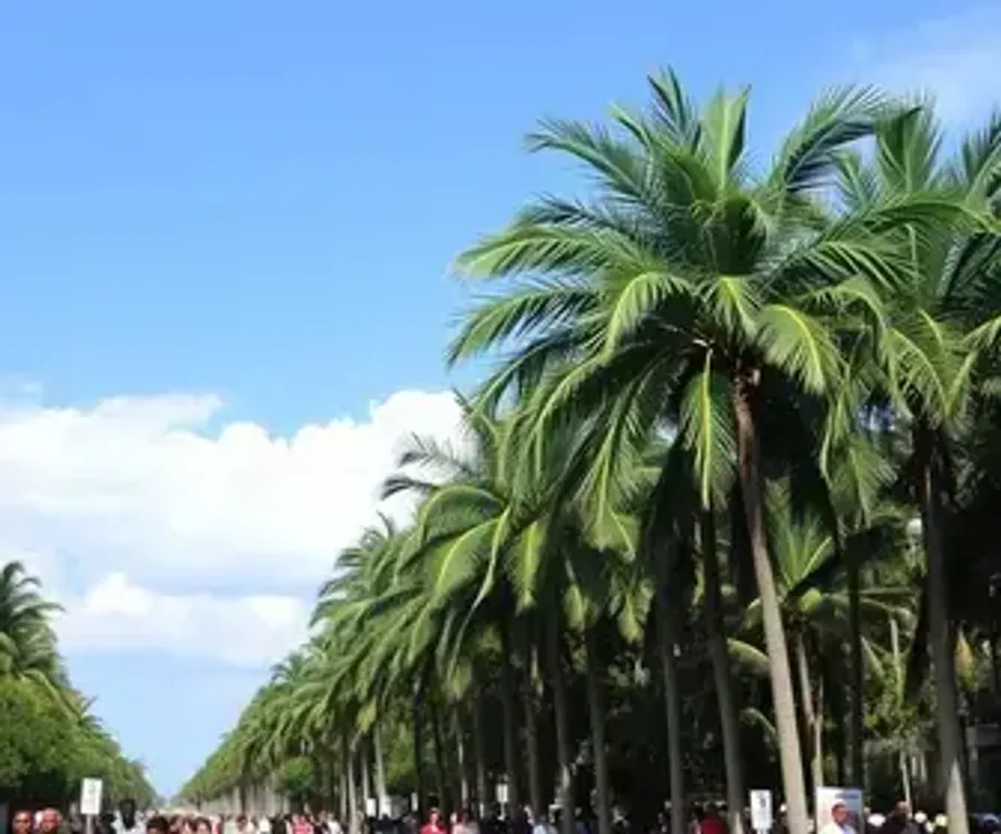 Palmas participa da festa das instituições de acolhimento em Luzimangues