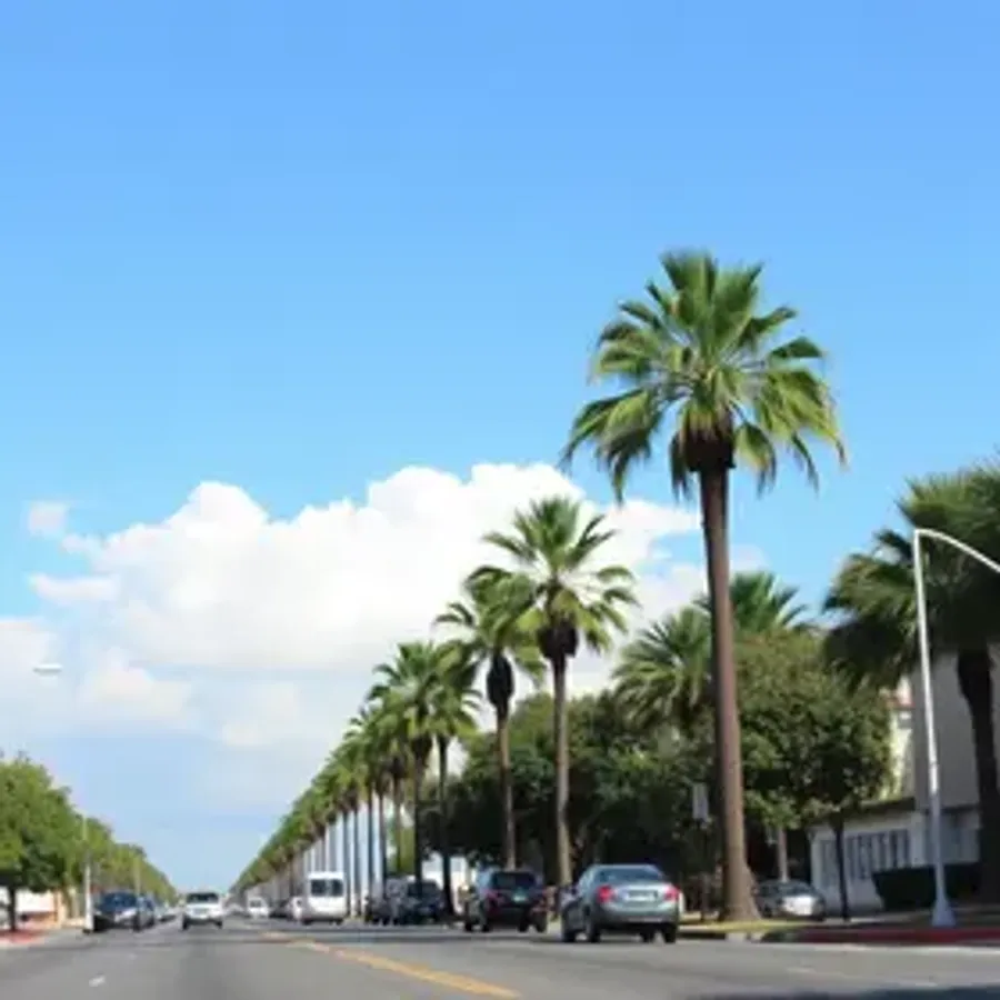 Portal de Transação Tributária da Prefeitura de Palmas está no ar