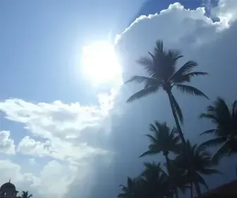 Previsão do tempo hoje para Palmas (TO): sol e aumento de nuvens de manhã; pancadas de chuva à tarde e à noite