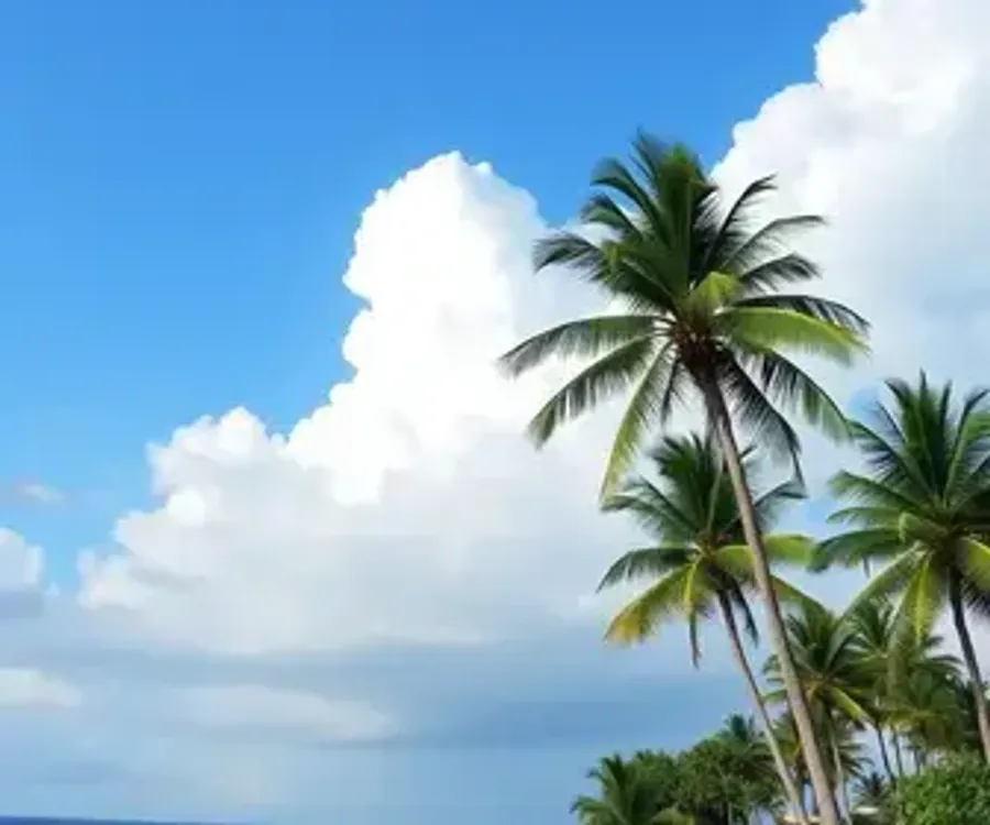 Previsão do tempo em Palmas (TO) hoje: veja como fica o clima nesta quarta