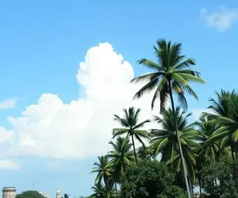 Prazo para habilitação documental de proponentes nos editais nº 5 e nº 6 da Pnab em Palmas termina nesta quinta, 15